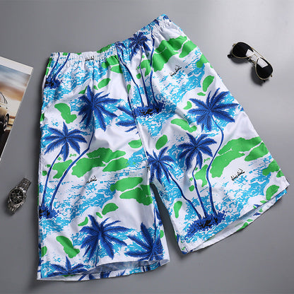 Men's Loose Fit Quick Dry Lightweight Beach Shorts - 2-Pack